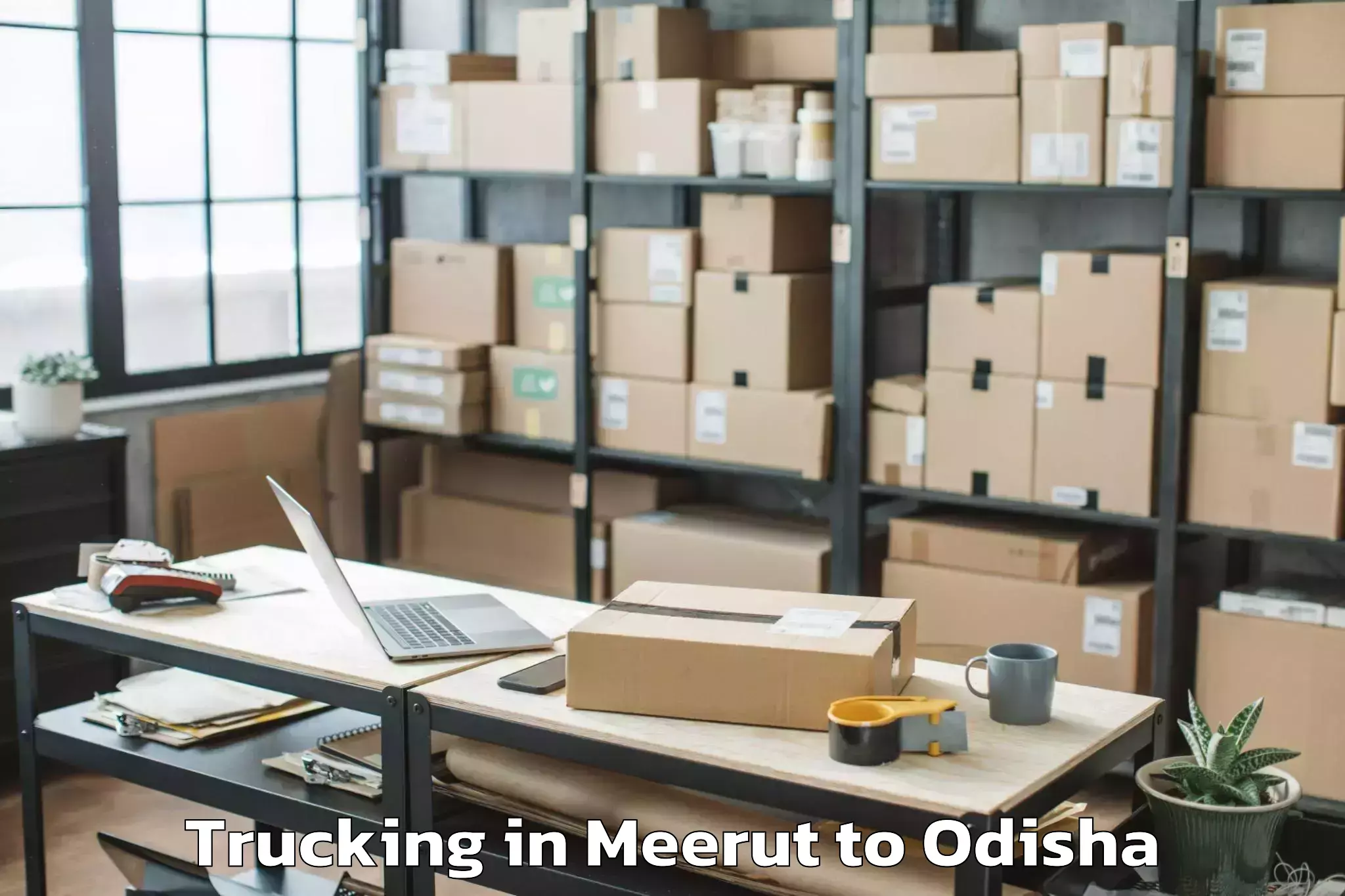 Book Meerut to Kolabira Trucking Online